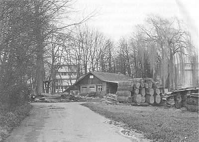 Birsmatten